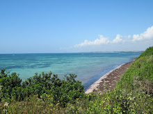 First Beach View of Mombasa