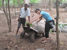 Feeding a 100+ yr old tortoise!