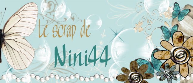 Le Scrap de nini44