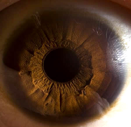Amazing Art Inside Your Eyes 08