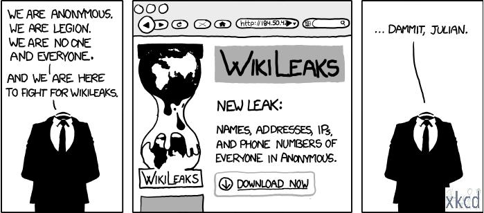 4Chan on Wikileaks