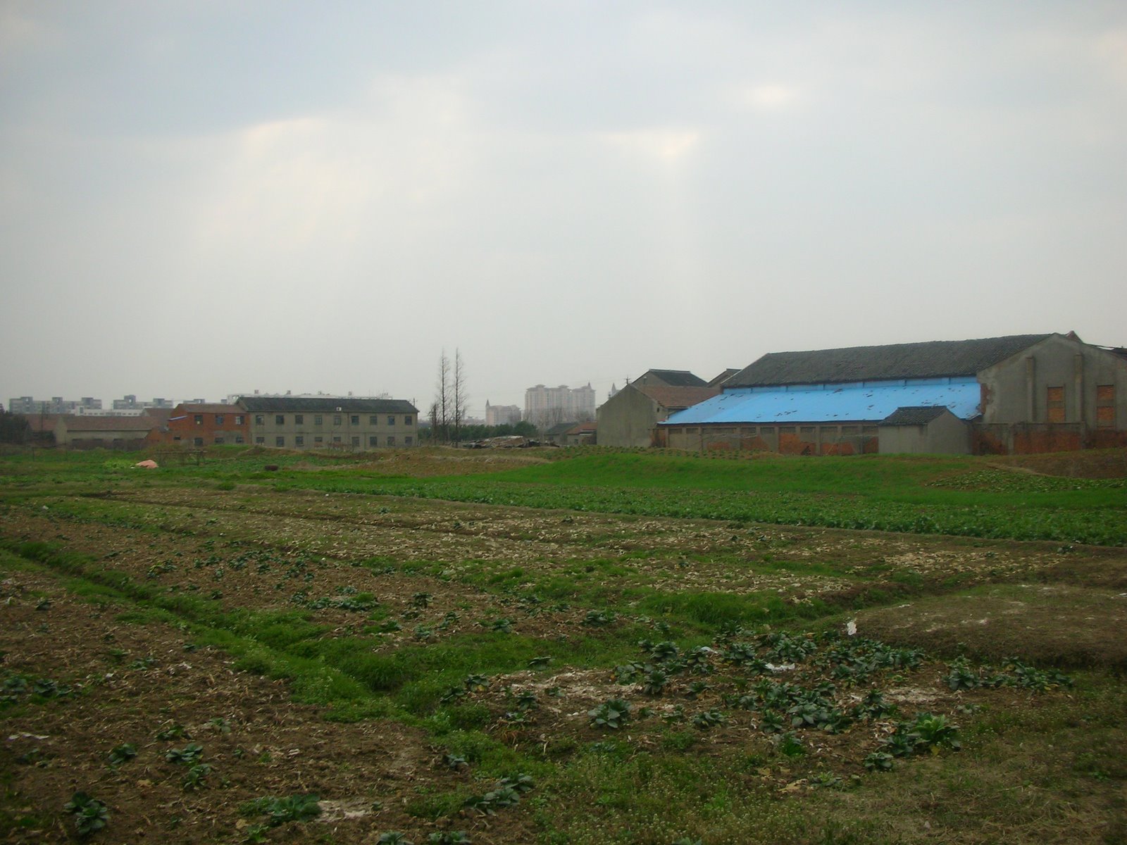 [DSCN9725.JPG]