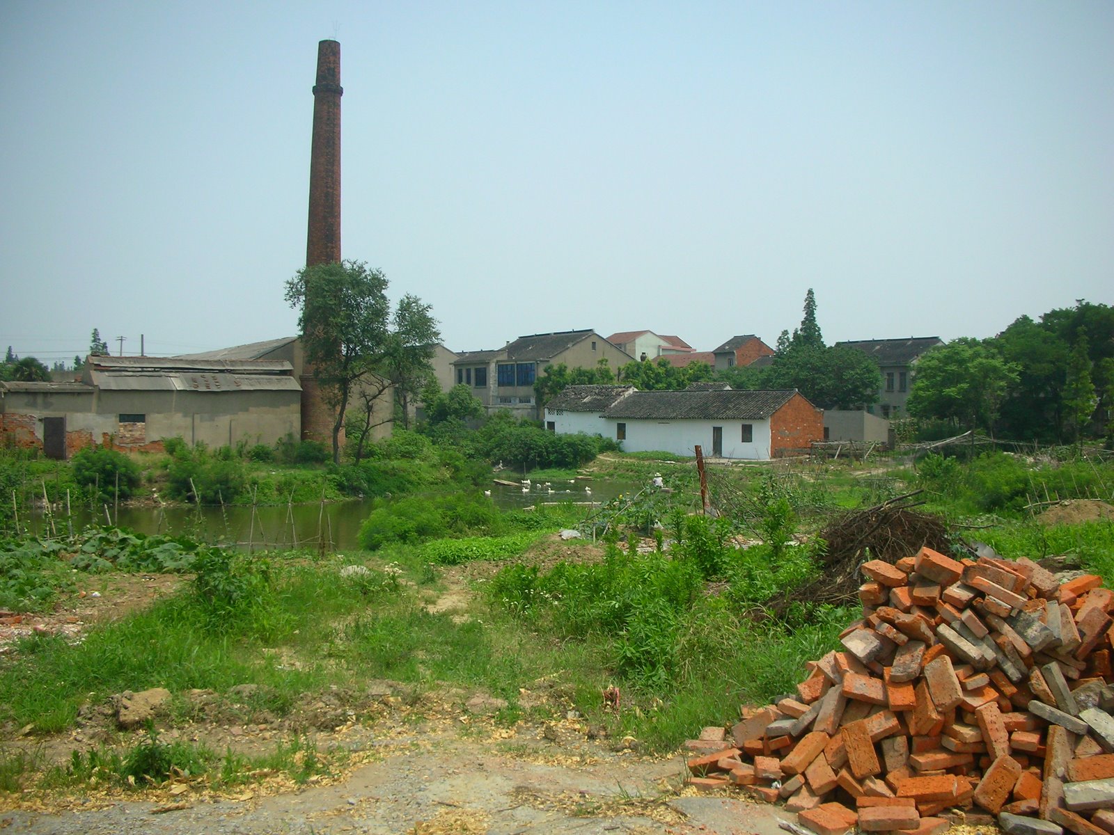 [DSCN8274.JPG]