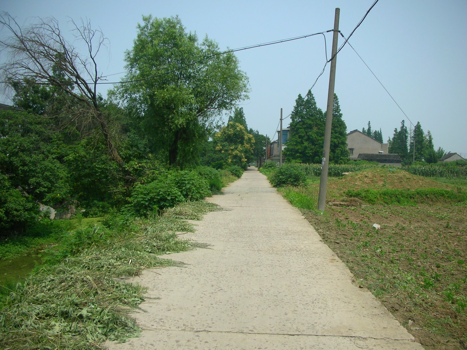 [DSCN8278.JPG]