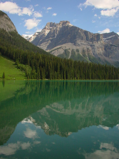 [D00561.jpg]