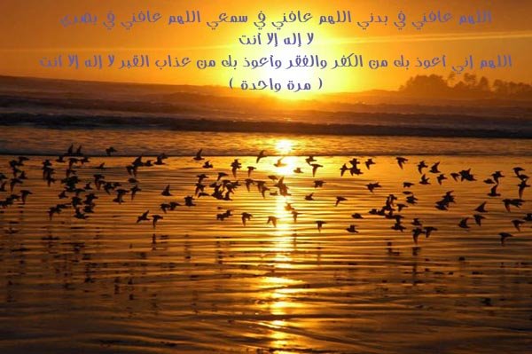 [Ø Ù Ù Ù +Ø Ø Ù Ù Ù  +Ù Ù  +Ø Ø Ù Ù  .bmp]