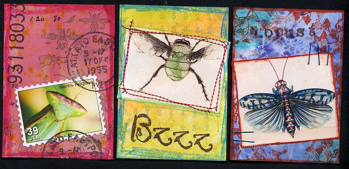 [insekten+-3er_www.jpg]