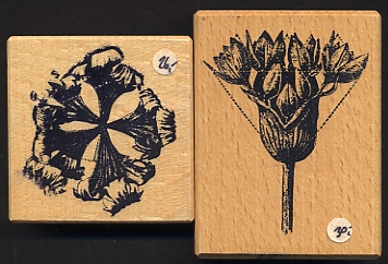 [collezione+buffo.jpg]