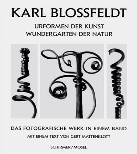 [blossfeldt+buch.jpg]