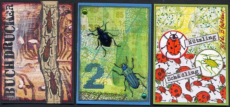 [ulrike+-+kÃ¤fer_www.jpg]