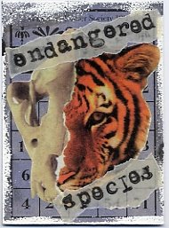 [endangered+species2.jpg]