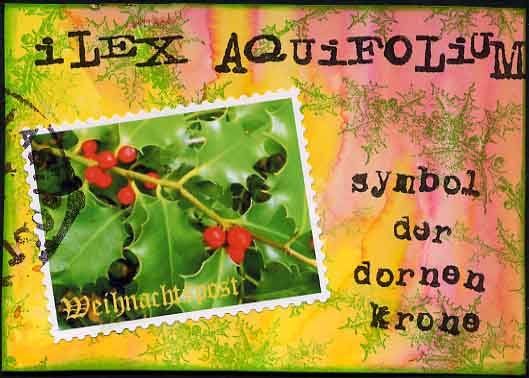 [ilex+www.jpg]