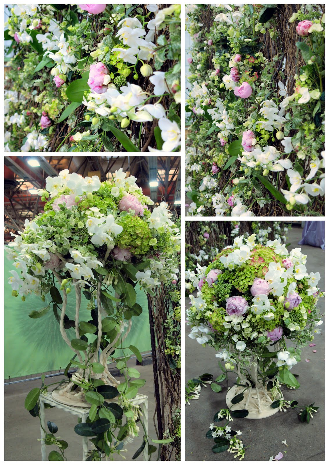 Flower Inspiration