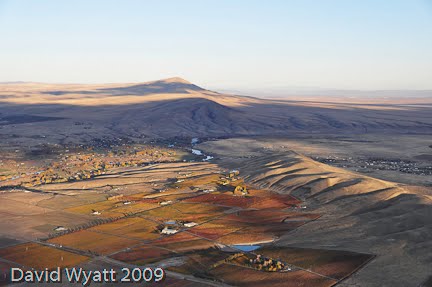 Loftics Aerial Photography from TriCities WA Red Mountain AVA