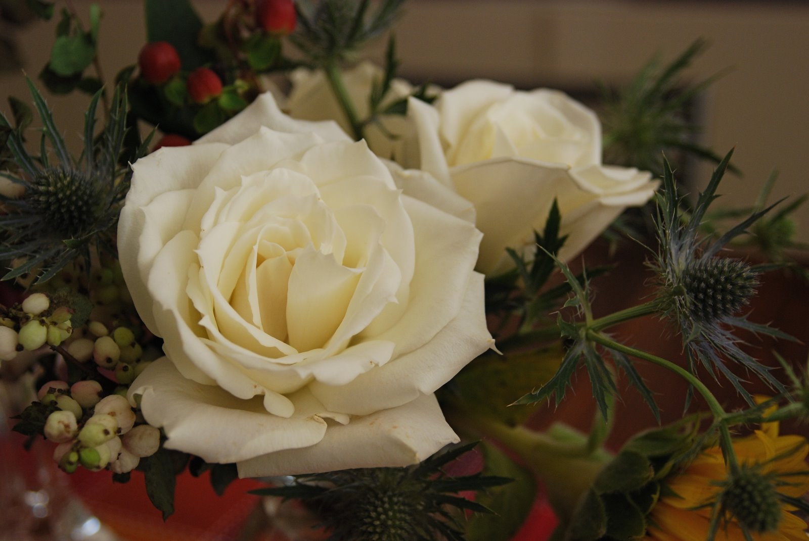 [DSC_0005.JPG]