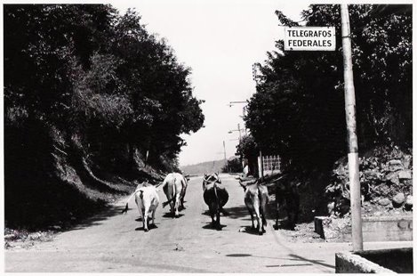 San Pedro del Río, Táchira. 1973