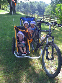 triplet bike trailer