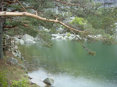 La Laguna Negra