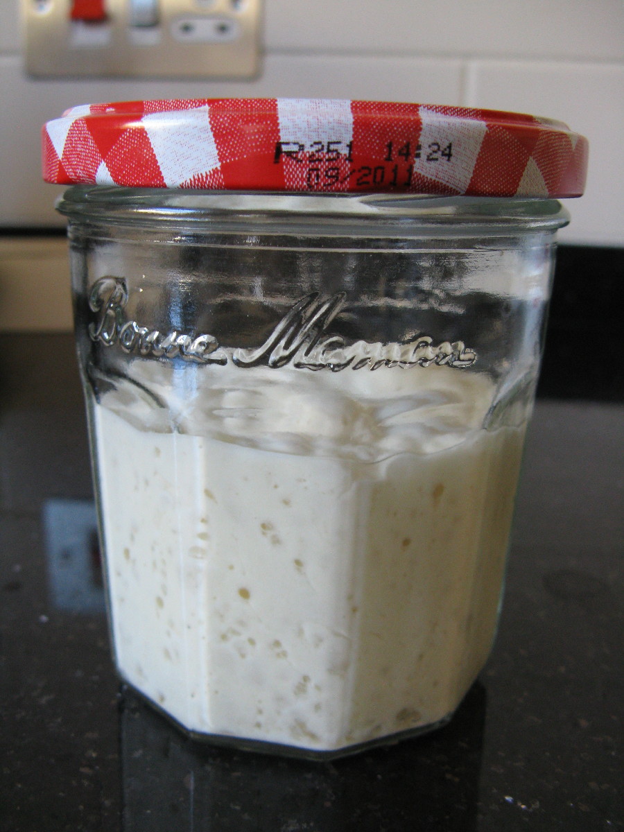 Bake Sourdough Maintaining a Sourdough Starter
