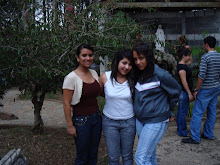 Las colochas y karoll