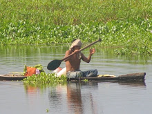 navegando por el amazonas