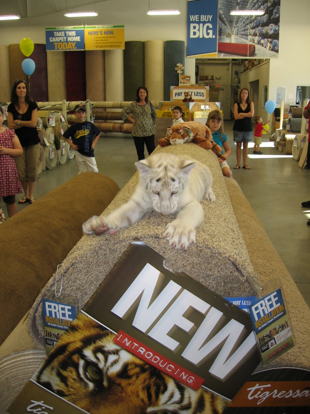 Katlin Author At Mercer Carpet One Page 44 Of 63
