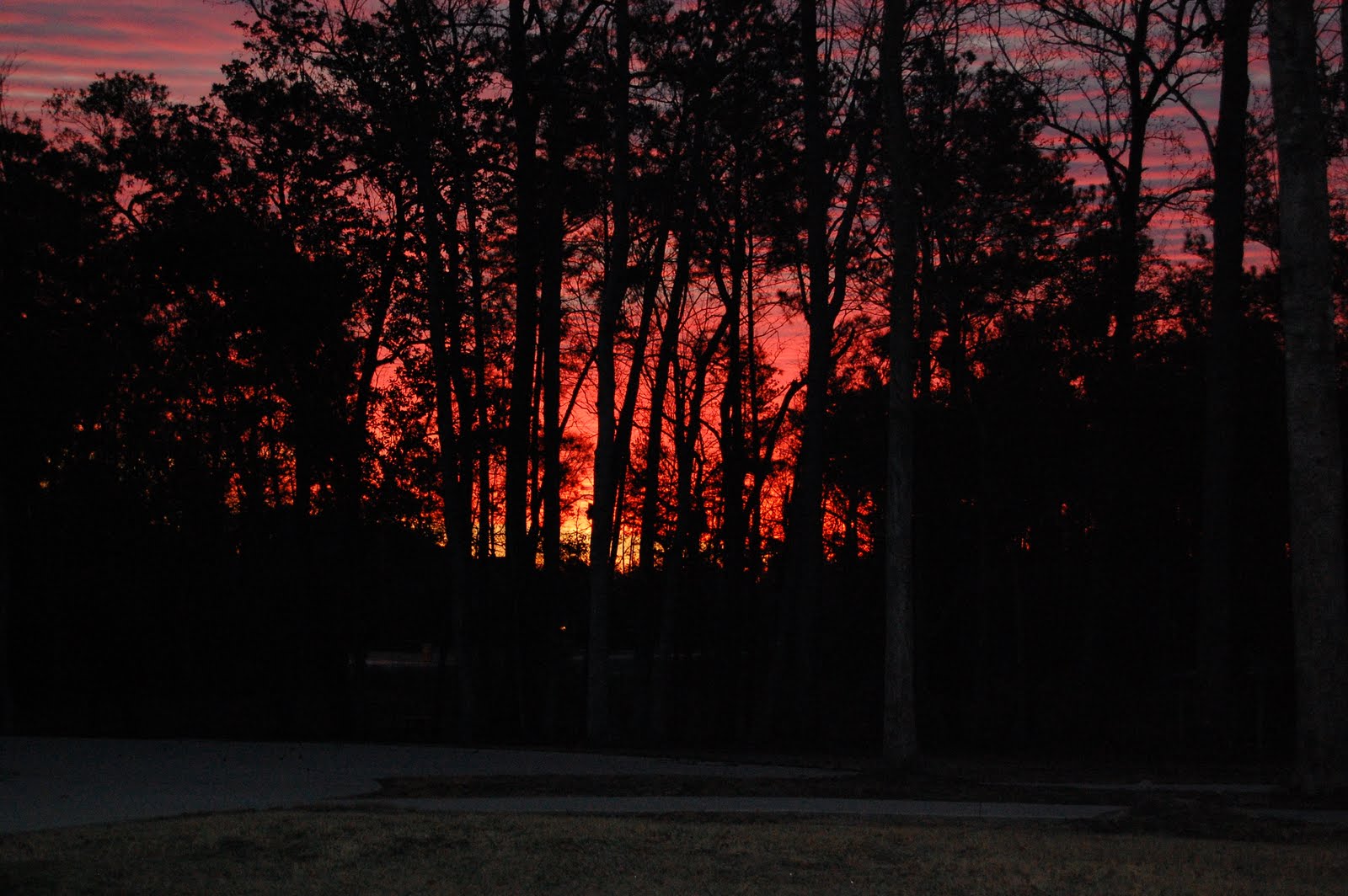 [DSC_0072.JPG]