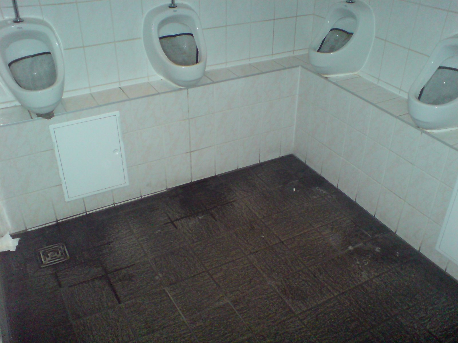 [DSC00143#1.JPG]
