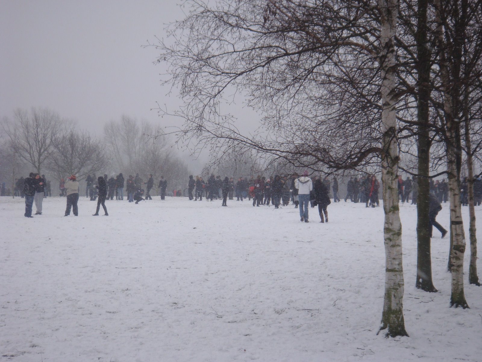 [DSC01583.JPG]