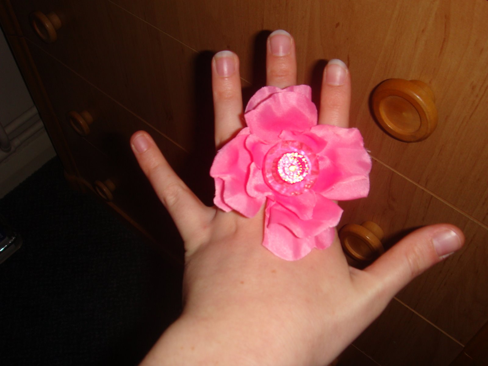 [DSC02005.JPG]