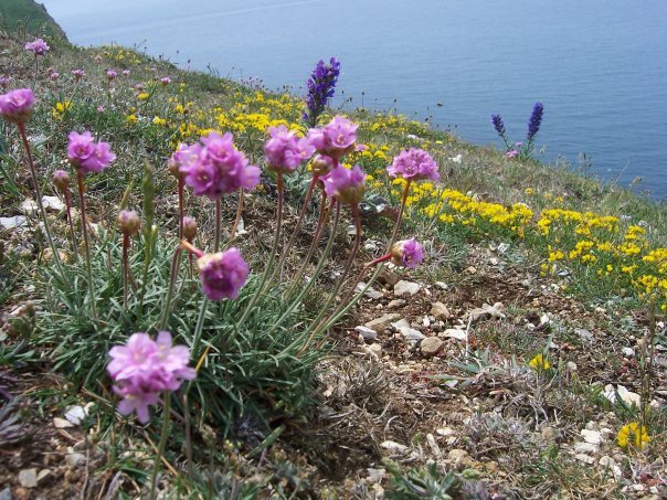 [Dorset+Camp+Day+2+May+2008.jpg]