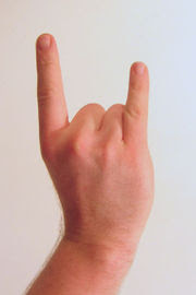 180px-Gesture_raised_fist_with_index_and_pinky_lifted.jpeg