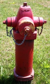 [BlogPhoto-Day10Hydrant.JPG]
