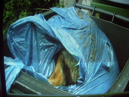 [IMGP2814-752502.JPG]