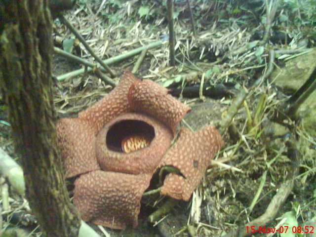 [DSC00284.JPG]