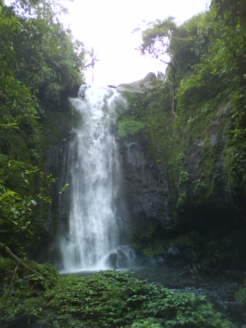 [DSC01998.JPG]