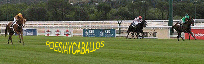 POESIA Y CABALLOS