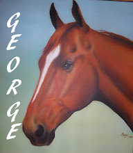 HOOFBEATS IN MY HEART...HORSES IN HEAVEN