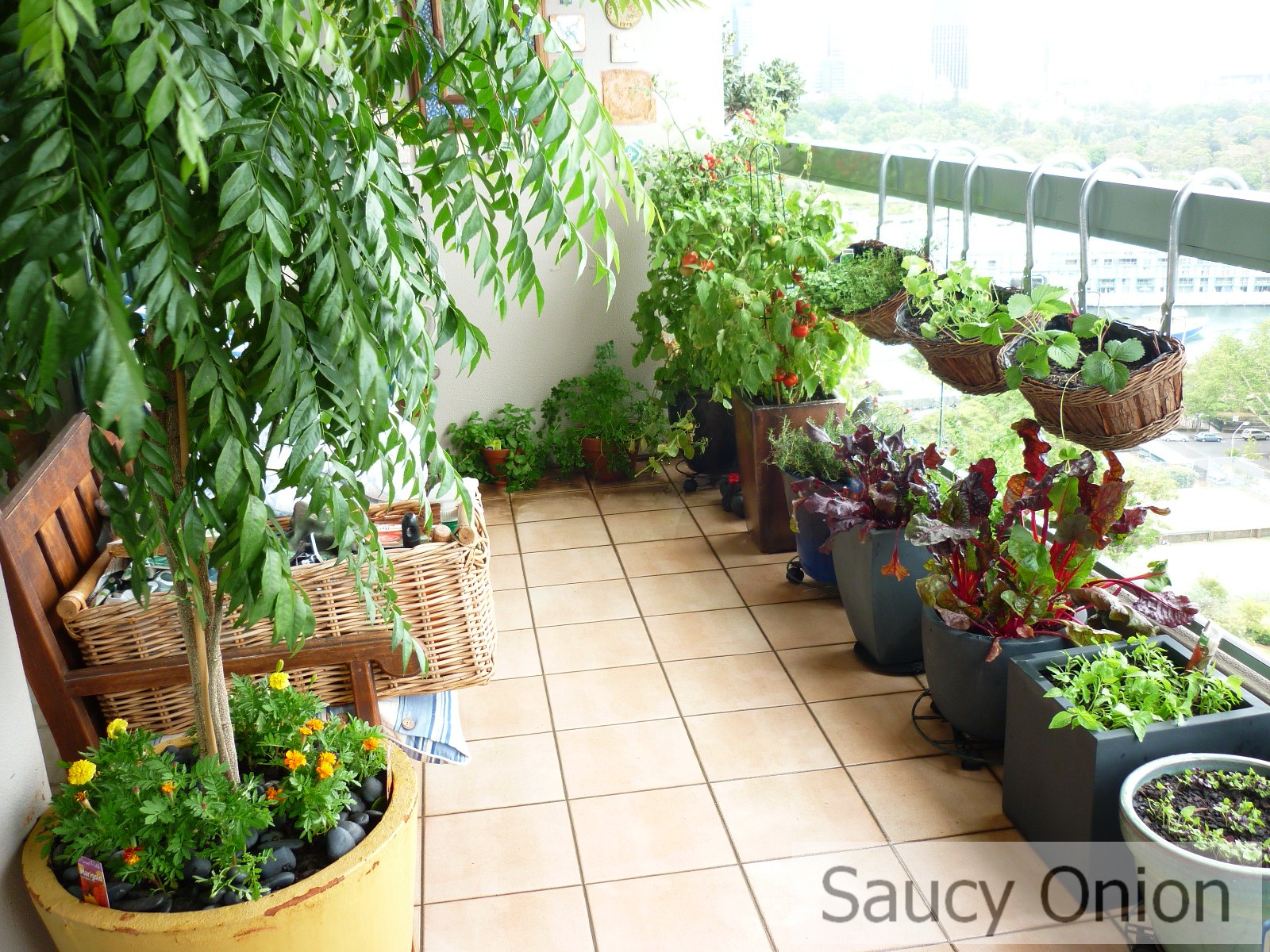 60+ Best Balcony Vegetable Garden ideas 2020 UK - Round Pulse