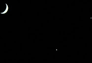 Moon, Venus, and Jupiter (12/1/08)