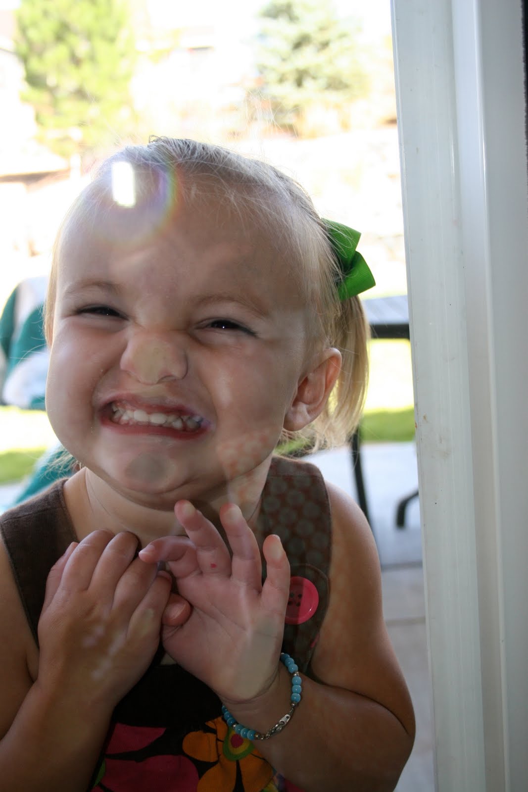 Mortensen Baby Farm: Clean windows eh?