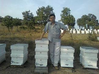 YALÇIN BAL ARICILIK