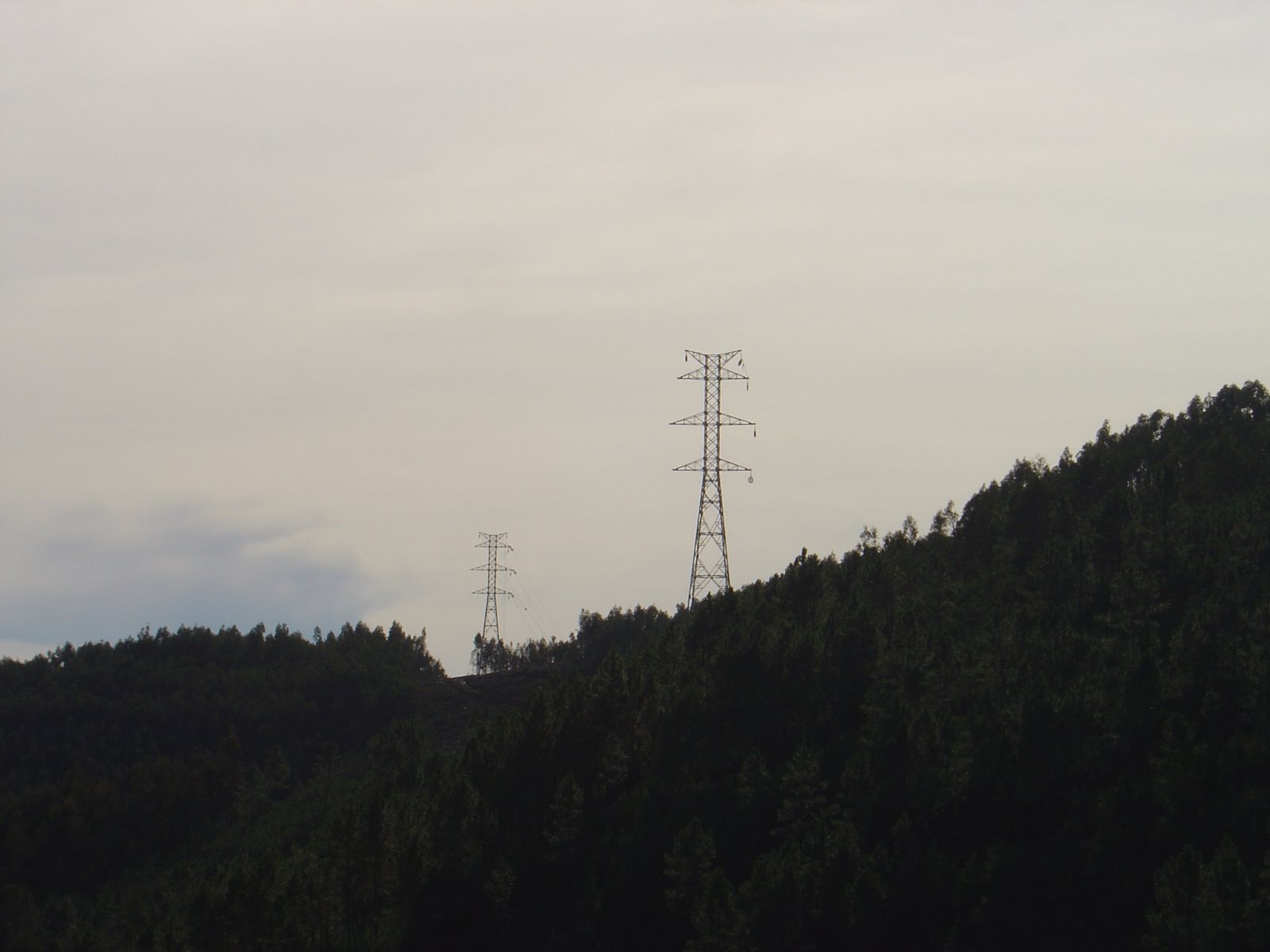 [DSC05308.JPG]