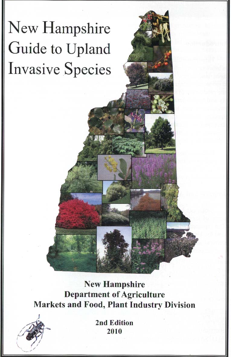 Invasive Species Talk at the Portsmouth Library Ironwood Design Group LLC
