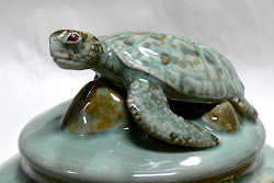 Sea Turtle vessel