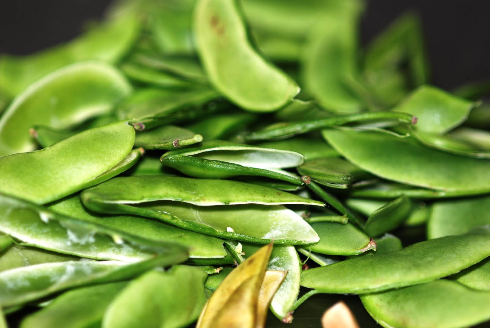 Vegetable Matter Get Growing in June