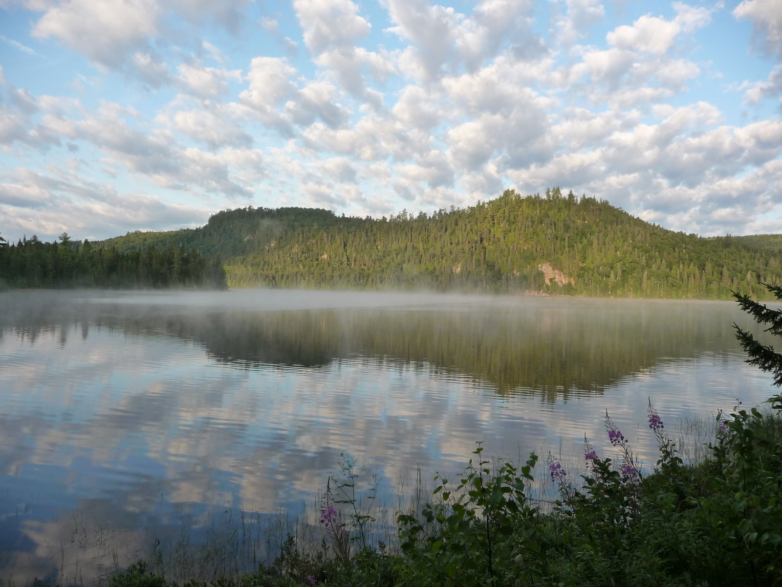 teamluguy Lac Dunbar