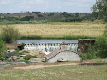 ribeira de Tera | Alentejo