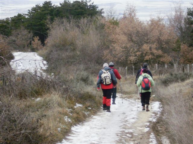[P1130032.JPG]