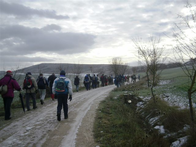 [P1130004.JPG]